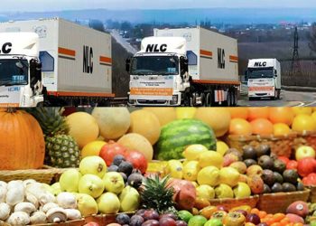 Pakistan starts fruit delivery to Russia via land route