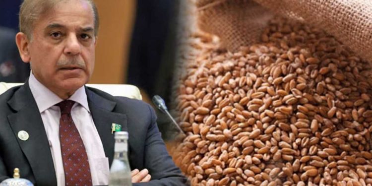 Wheat scandal: PM Shehbaz Sharif suspends four officers