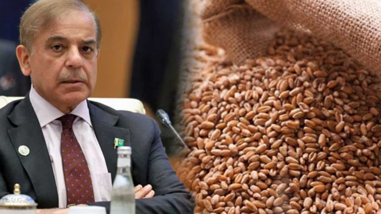 Wheat scandal: PM Shehbaz Sharif suspends four officers