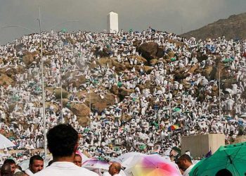 Muslim pilgrims pray on Mount Arafat in hajj climax