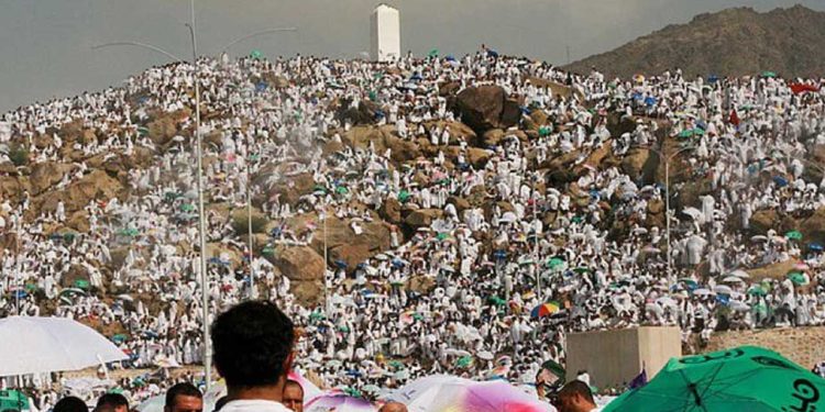 Muslim pilgrims pray on Mount Arafat in hajj climax