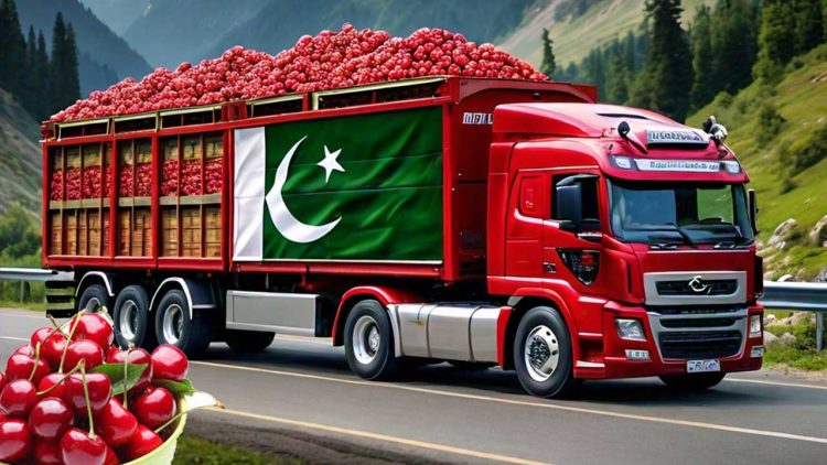 Pakistan Sends First Batch of Fresh Cherries to China