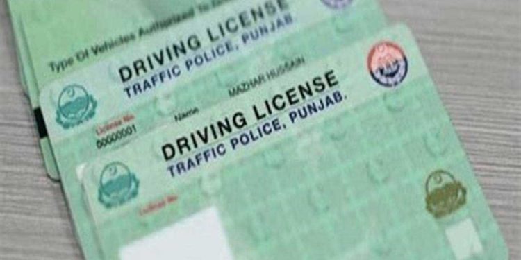 How to Obtain Your Driving License and Learner Permit from Home