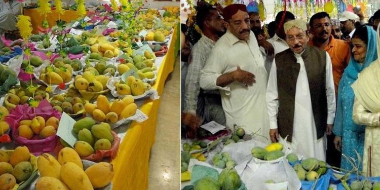 Karachi's vibrant three-day Mango Festival begins