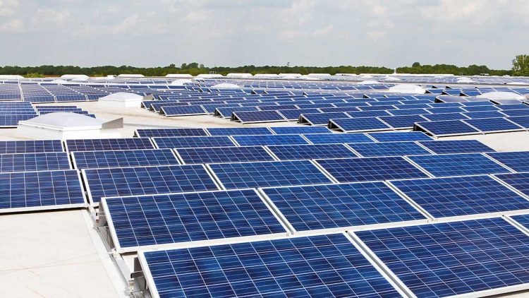 Find Out if You Qualify for Punjab's Solar Panel Scheme