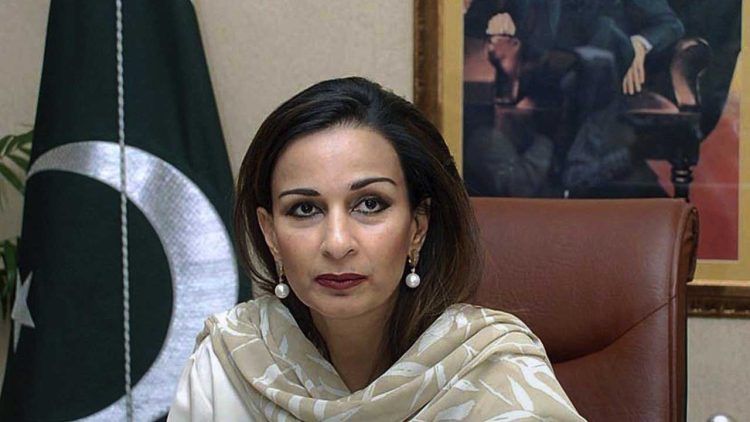 PPP Distances Itself from Government's Move to Ban PTI