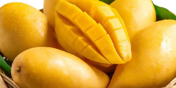 Pakistan High Commissioner Highlights Mangoes as Symbols of National Pride