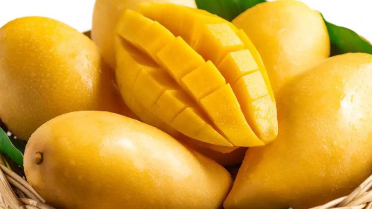 Pakistan High Commissioner Highlights Mangoes as Symbols of National Pride