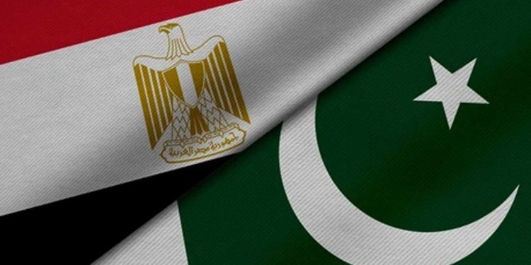 Pakistan and Egypt Commit to Strengthen Cooperation in Religious Education