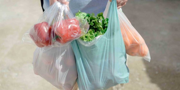 International Plastic Bag Free Day Observed Today