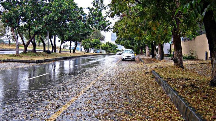 Punjab on Alert as Monsoon Rains Begin