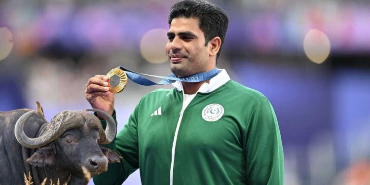 Arshad Nadeem’s Father-in-Law Gifts Him a Buffalo to Celebrate Olympic Gold