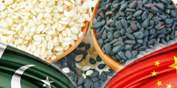 Pakistani sesame seed exporters secure major orders in China, set to lead in year 2024 exports