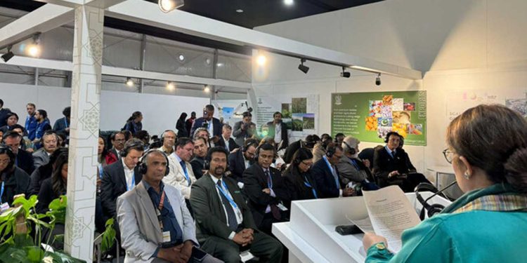 Pakistan Launches First National Climate Finance Strategy at COP29