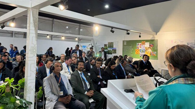 Pakistan Launches First National Climate Finance Strategy at COP29