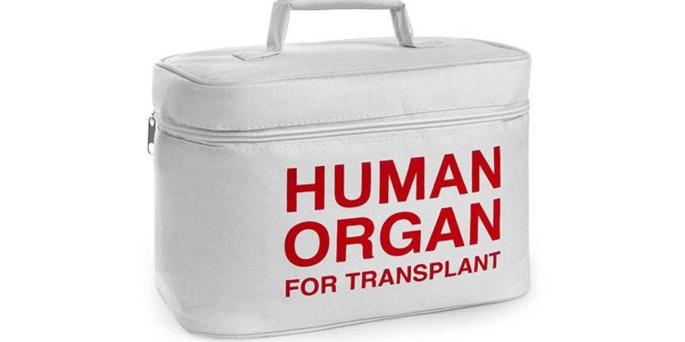 Temporary Ban on Organ Transplants Imposed in Islamabad Amid Scandal