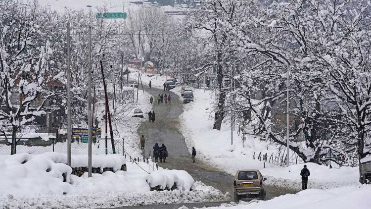 Cold Wave Grips Islamabad as Temperature Drops to Freezing Point