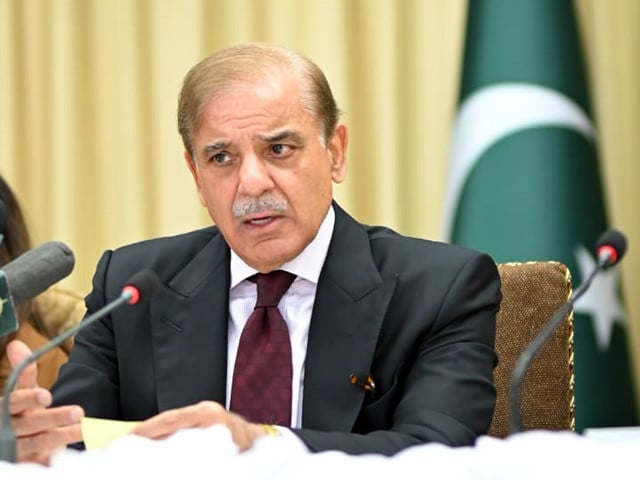 PM shehbaz on shortage of gas