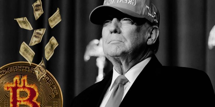 Trump Crypto