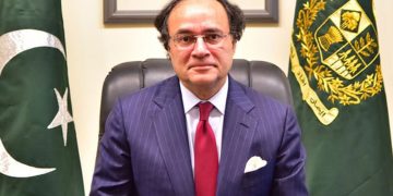 FinMin Aurangzeb hopes to turn US tariffs into 'win-win' situation
