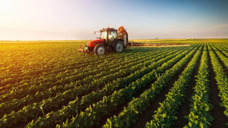 PM for modernizing agri-sector to achieve self-sufficiency